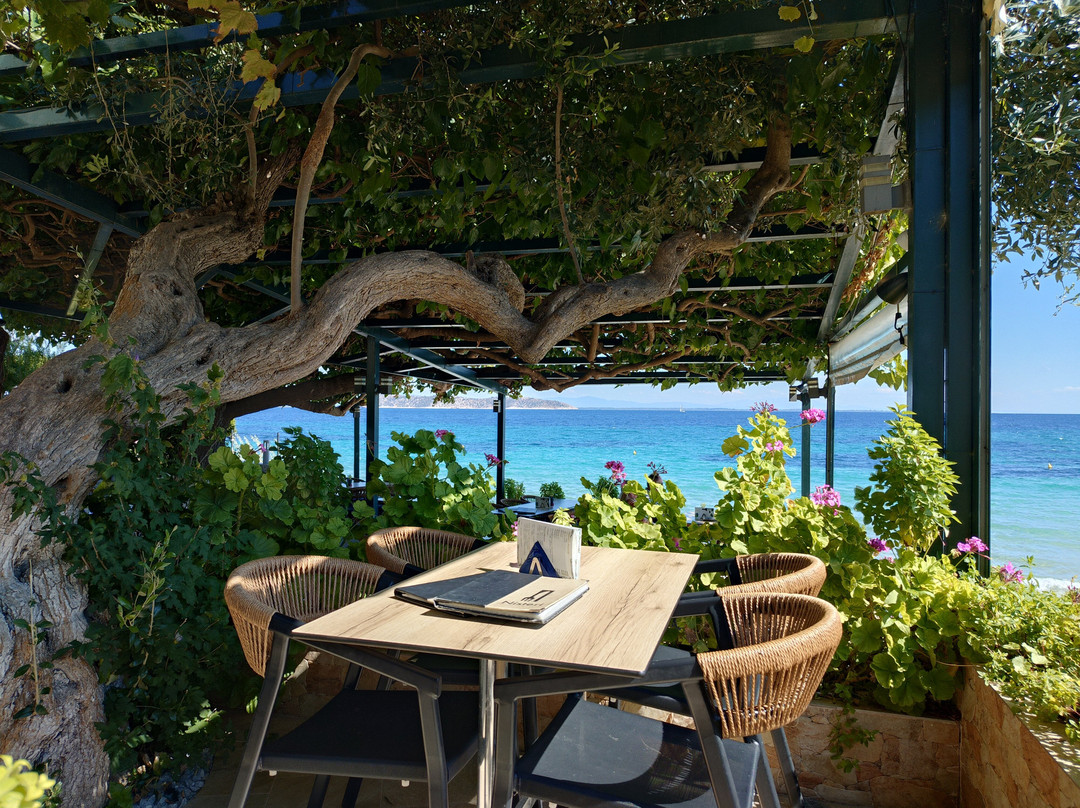 Nisteri Beach Hotel Villa主图