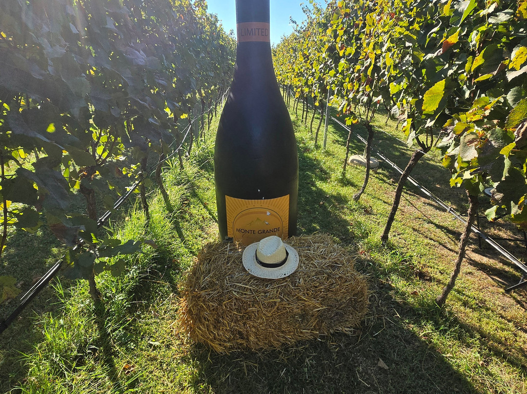 Monte Grande Winery-波德戈里察必去景点