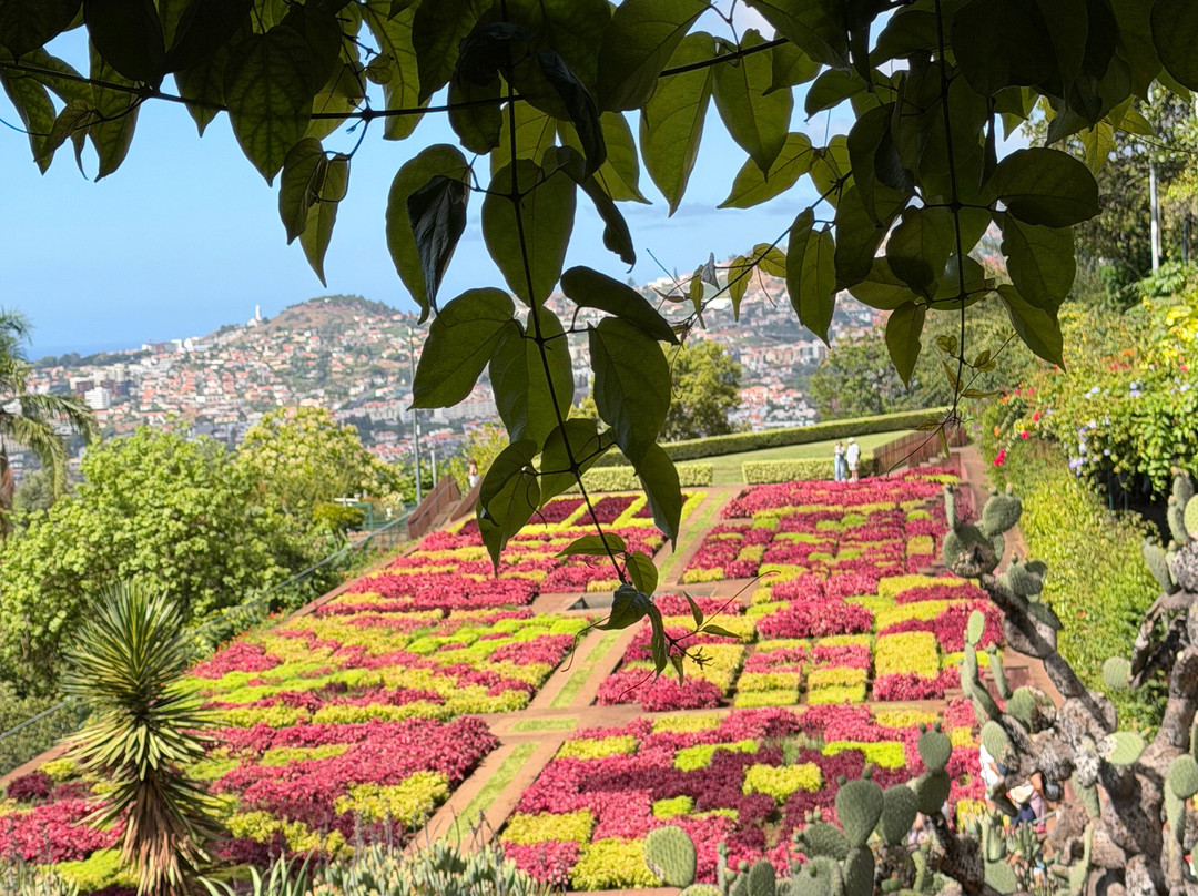 Madeira Botanical Garden-沙尔必去景点