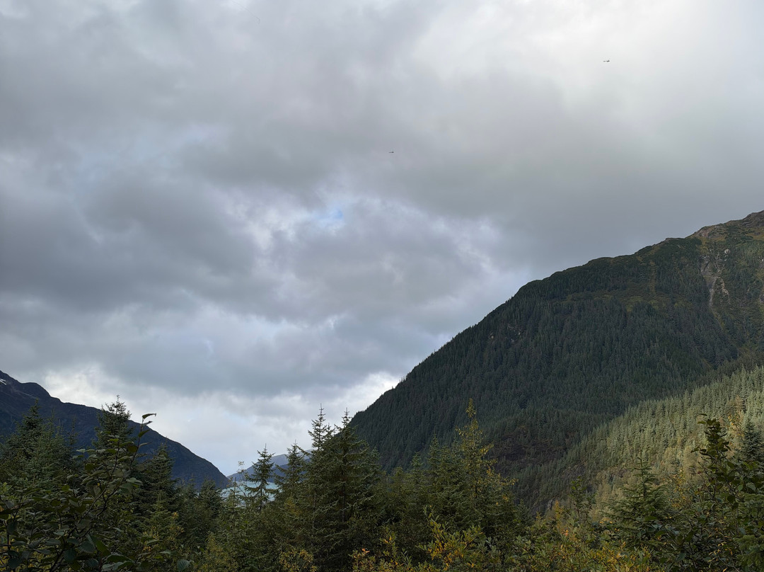Mendenhall Glacier-朱诺必去景点