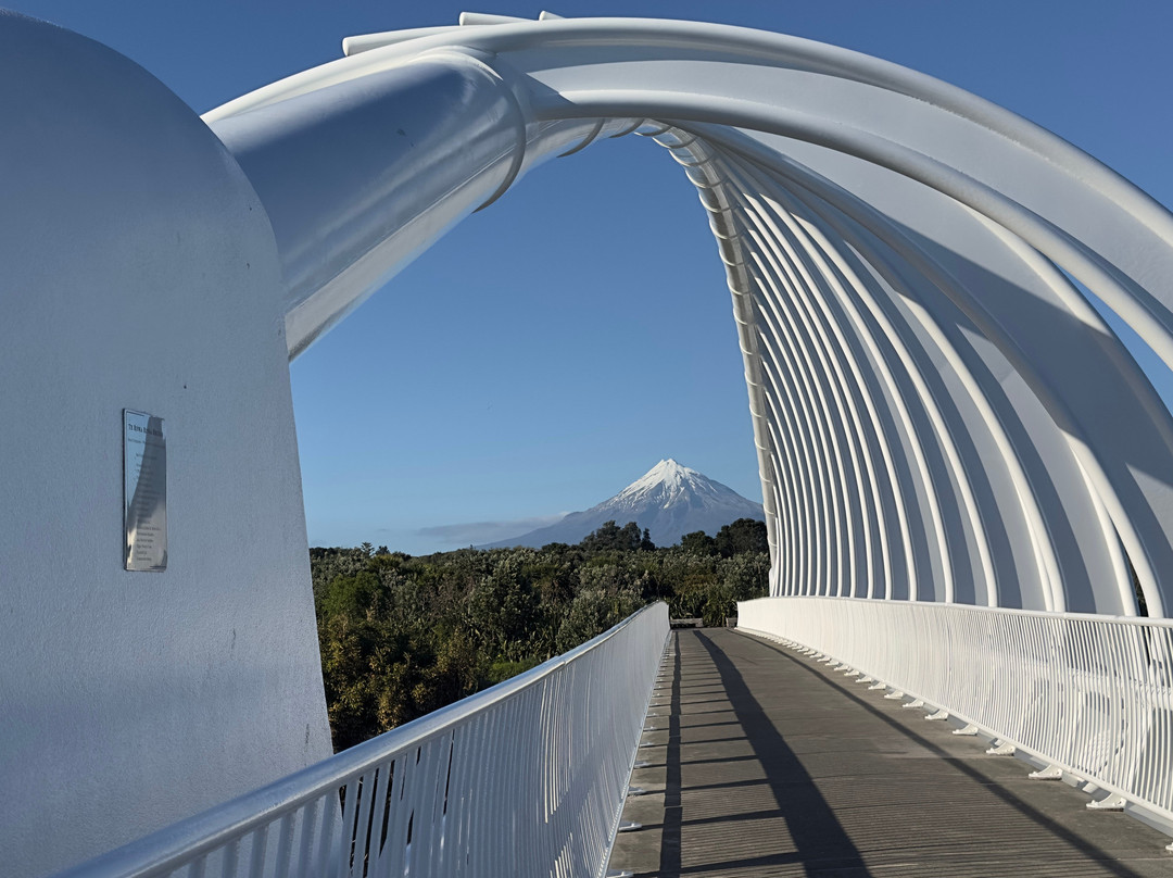 Te Rewa Rewa Bridge-新普利默斯必去景点