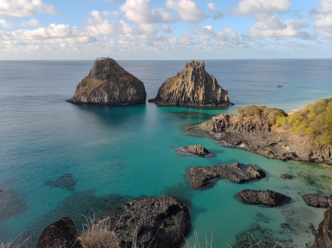 Baia dos Porcos-费尔南多-迪诺罗尼亚群岛必去景点