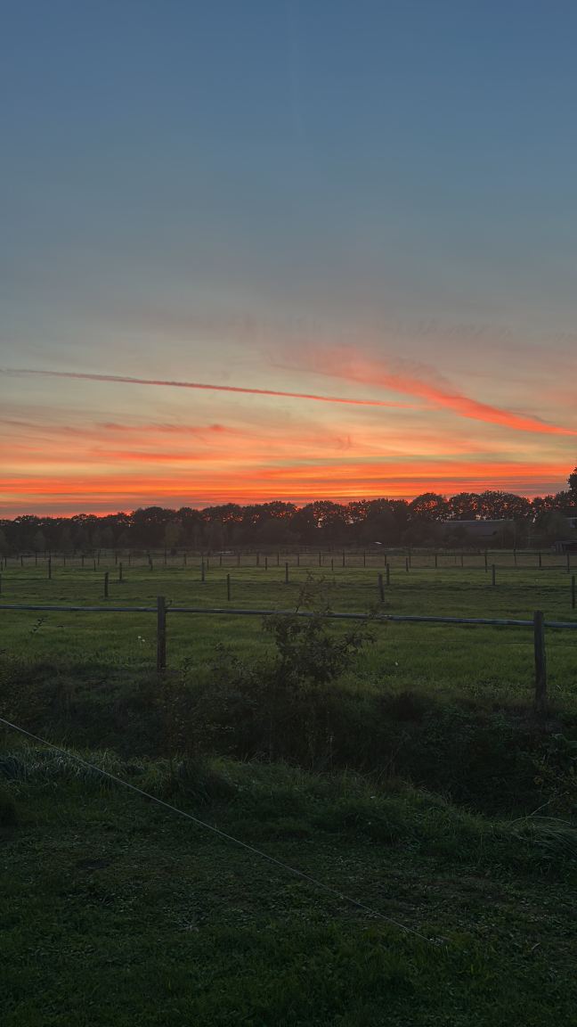 Duynparc Soest-旅行者