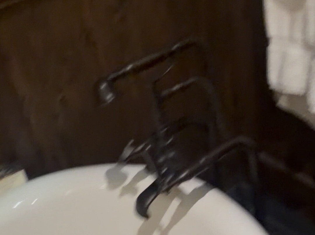 大柏树小屋主图