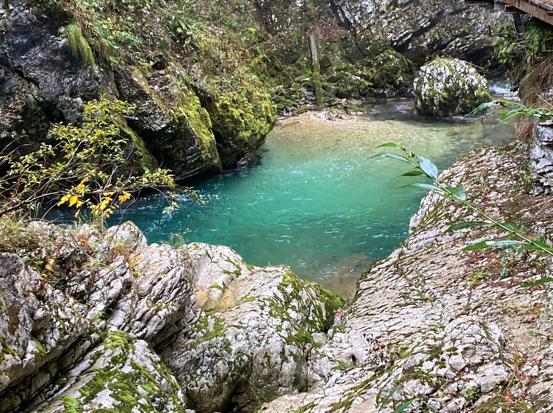 文特加峡谷（Soteska Vintgar）-Zgornje Gorje必去景点