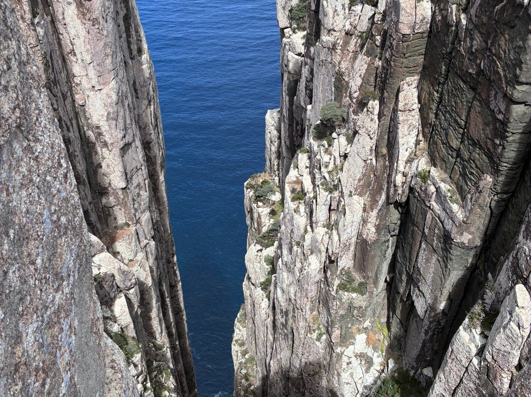 Three Capes Signature Walk by Tasmanian Walking Company-亚瑟港必去景点