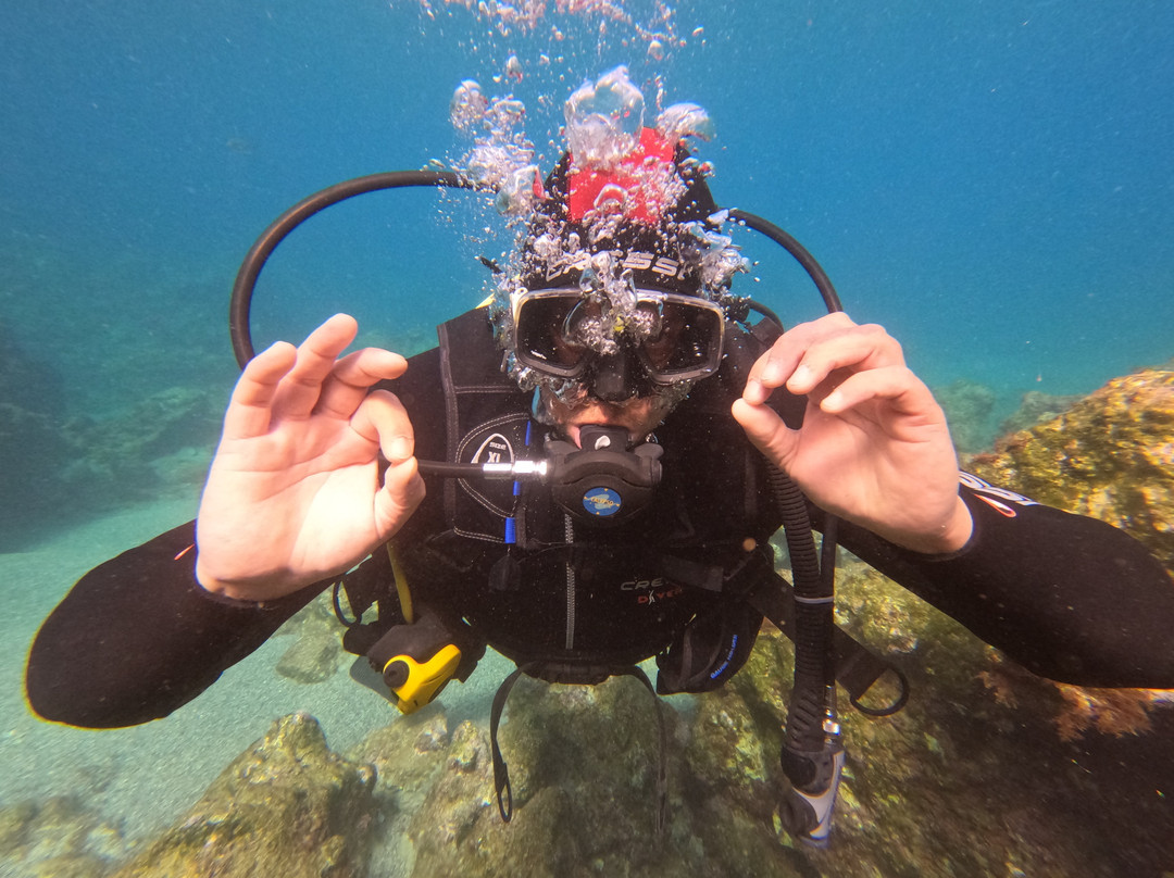 Paradise Dive Center-雷斯蒙必去景点