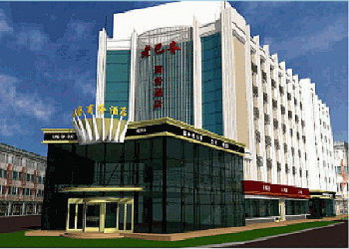 老巴夺商务酒店-客卧