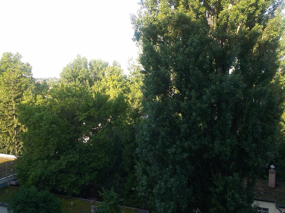 Hotel Lelle