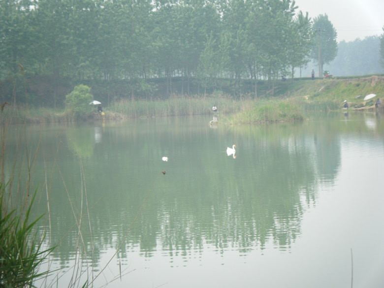 上海崇明寒山寺景点图片