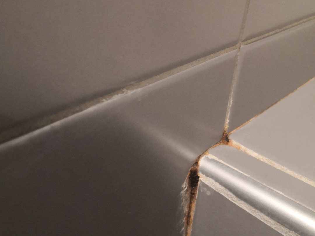 BEST WESTERN Hotel Le Cerf Volant