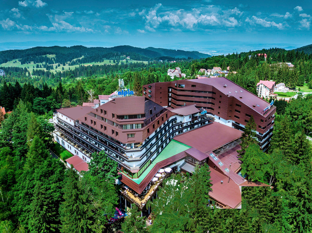 波亚纳布拉索夫酒店住宿-Alpin Resort Hotel