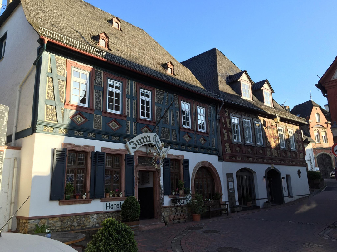 Eltville am Rhein酒店住宿-Weinhaus Zum Krug