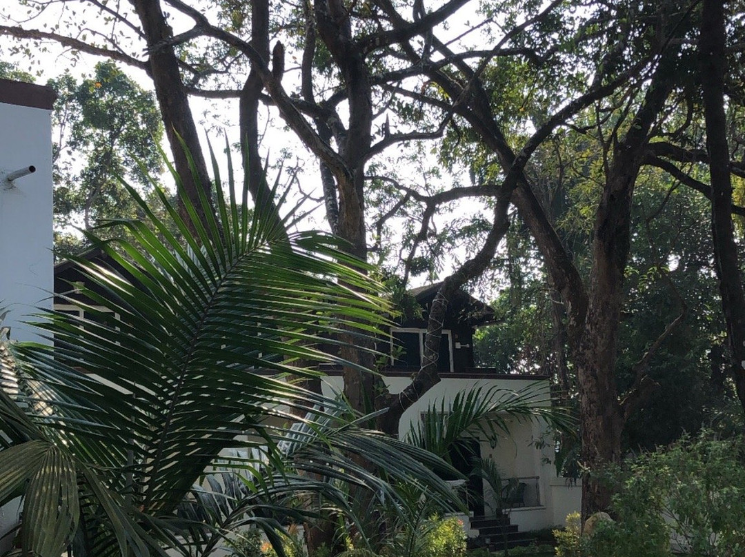 JP Resort