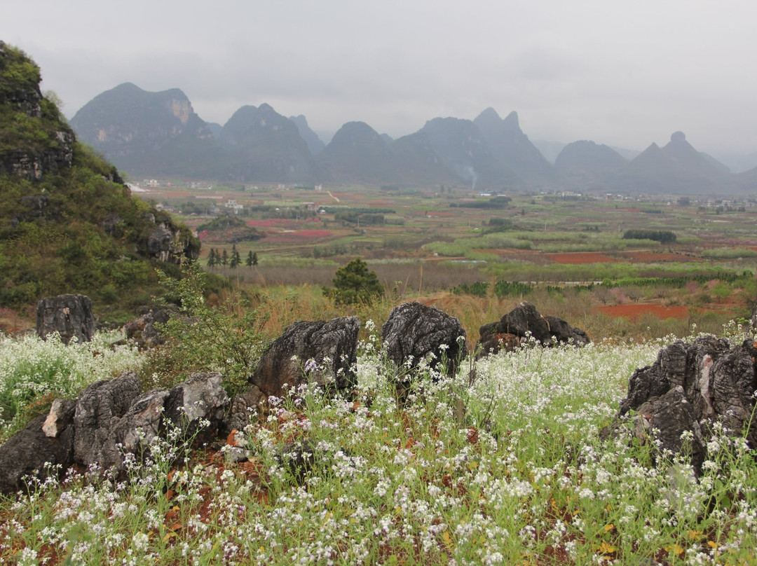 大岭山桃园景点图片