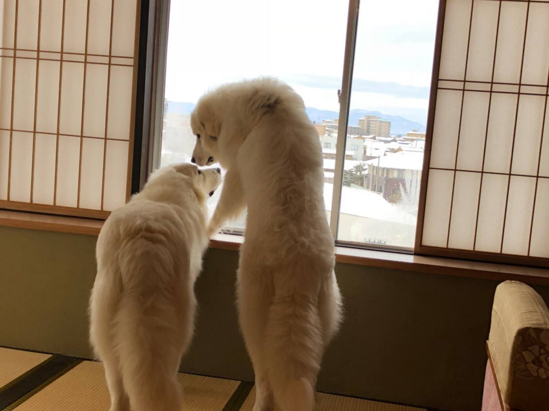 Aiken to Sugosu Honkakuryokan Gekka