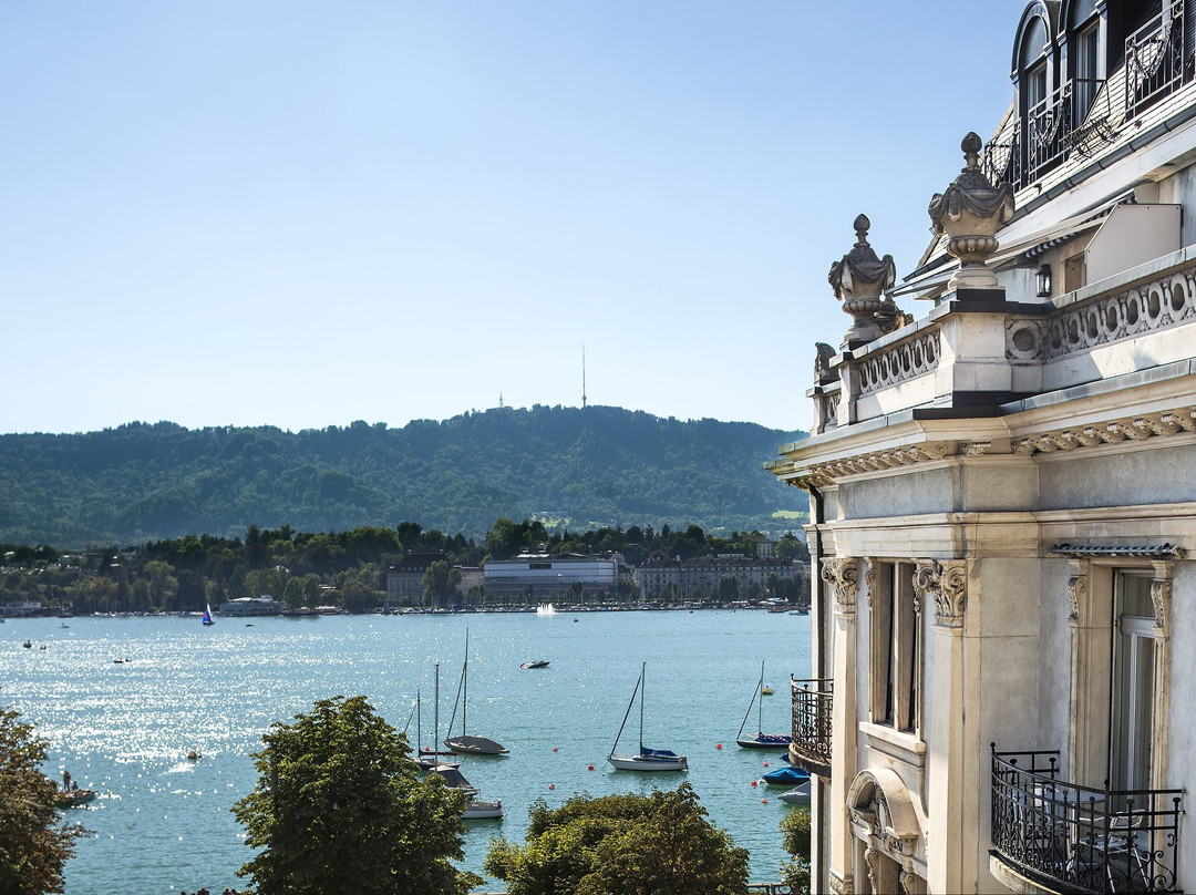 伊甸湖保护区苏黎世主图