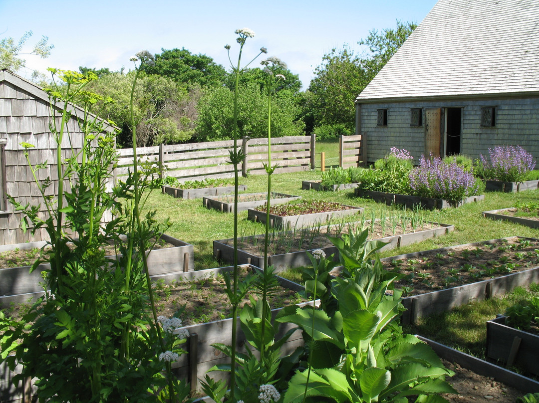 Oldest House (Jethro Coffin House) and Kitchen Garden景点图片