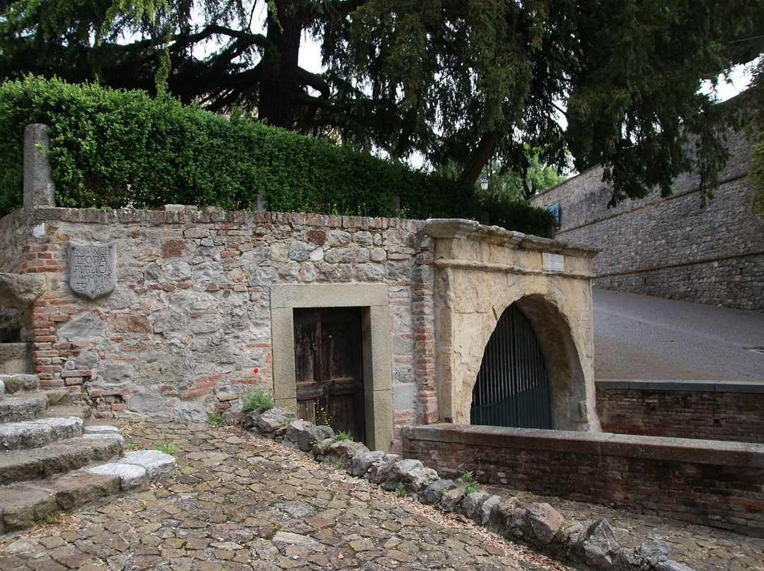 La fontana del Petrarca景点图片