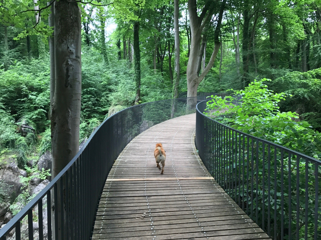 Balve旅游景点-Felsenmeer