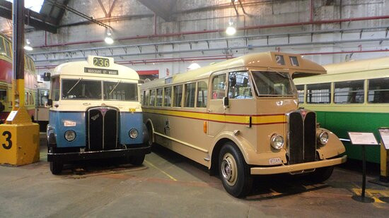 Sydney Bus Museum景点图片