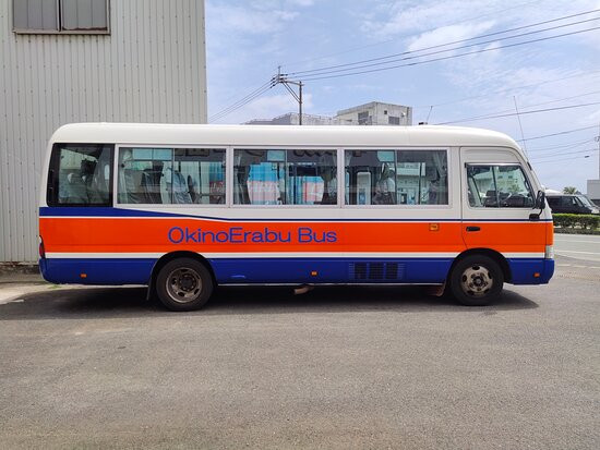 Okinoerabu Bus Kigyodan景点图片