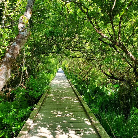 Cedar Wetlands Preserve-Rockaway Beach必去景点