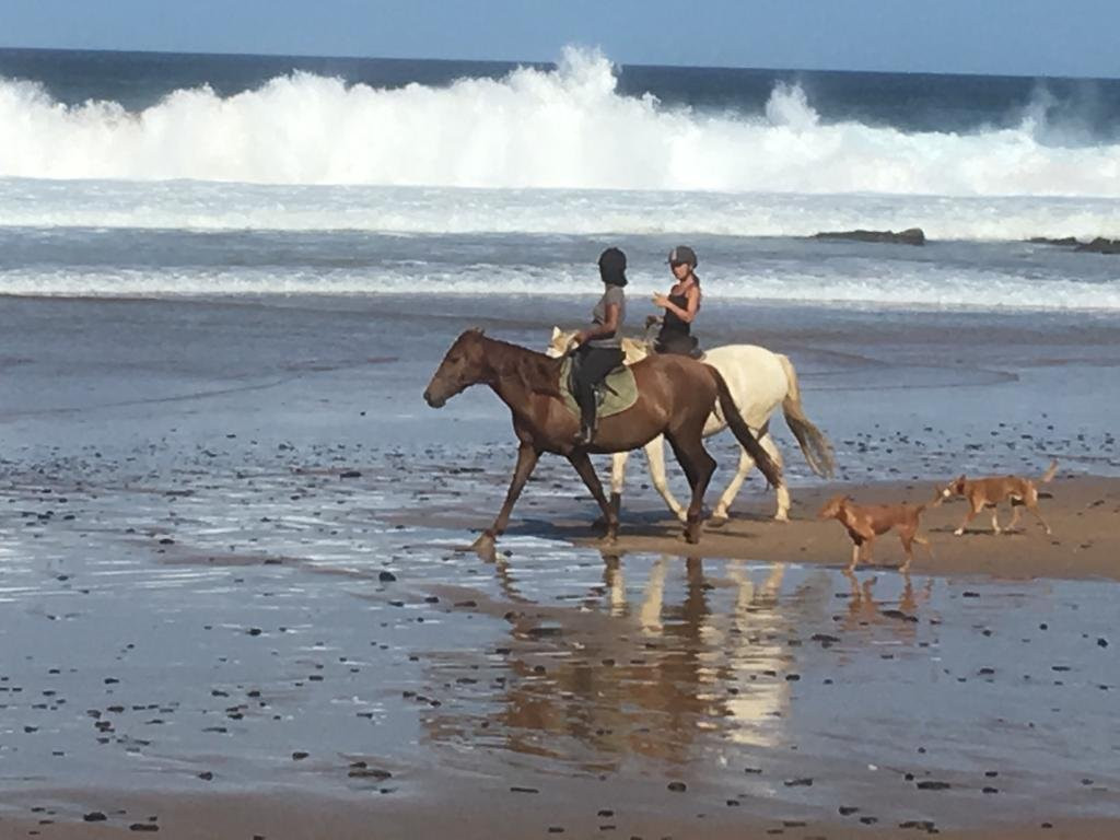 Equivicentinos-Vila do Bispo必去景点