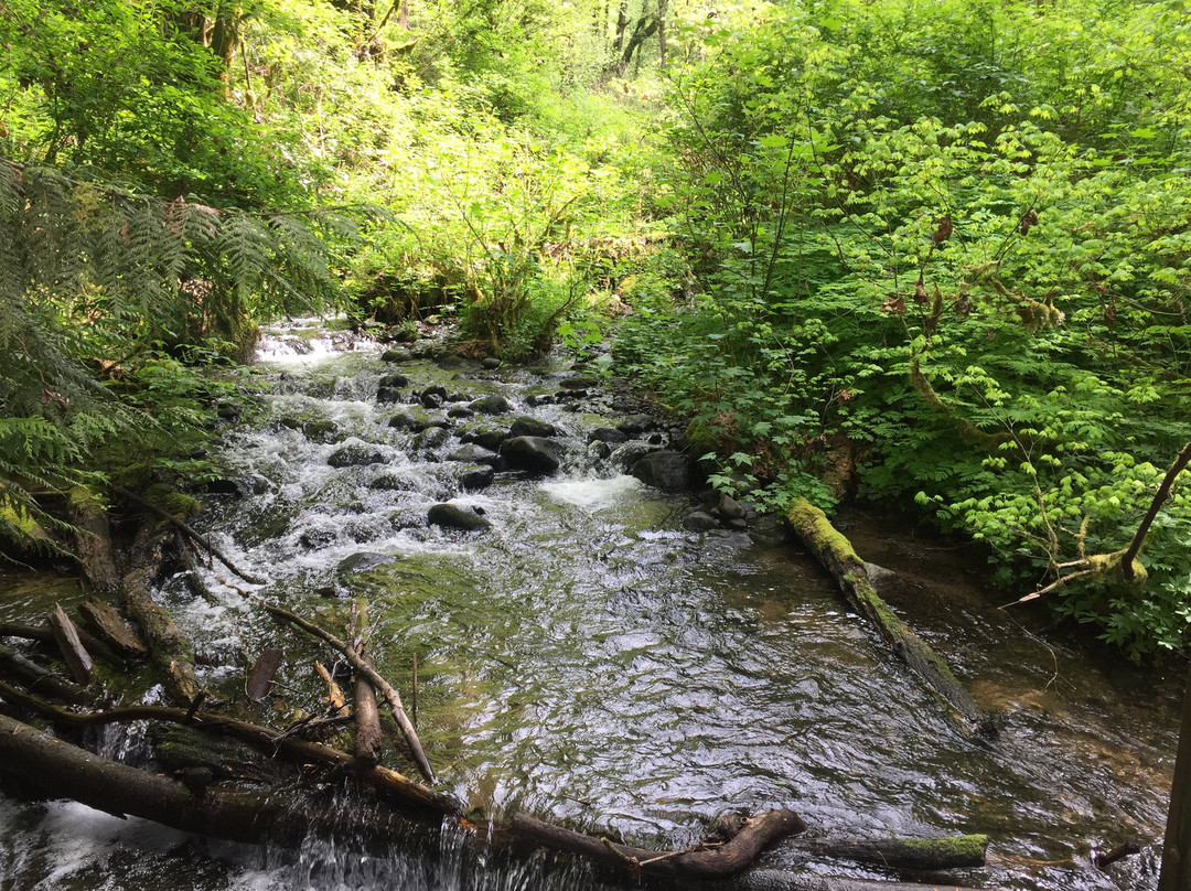 Flaming Geyser State Park景点图片