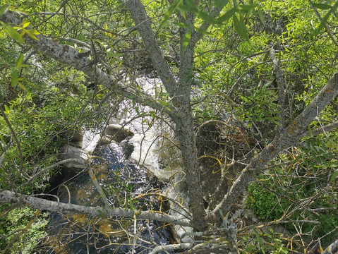 Mirador Del Río Guadarrama