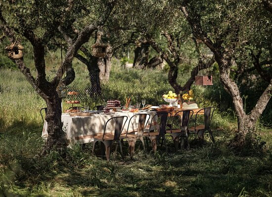 Picnic in Leeda's Farm景点图片