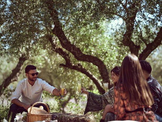 Picnic in Leeda's Farm景点图片