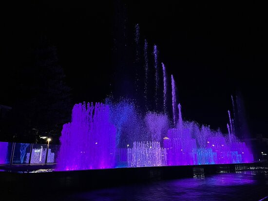 Light and Music Fountain景点图片