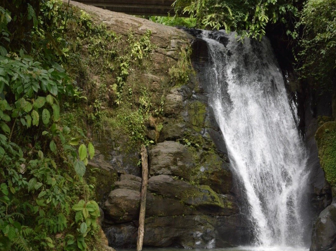 ATEC-旧港必去景点