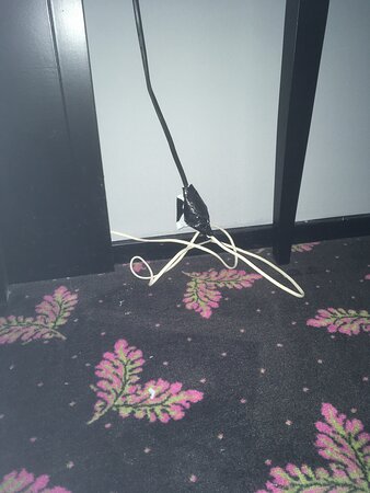 Van der Valk Hotel Purmerend-客卧