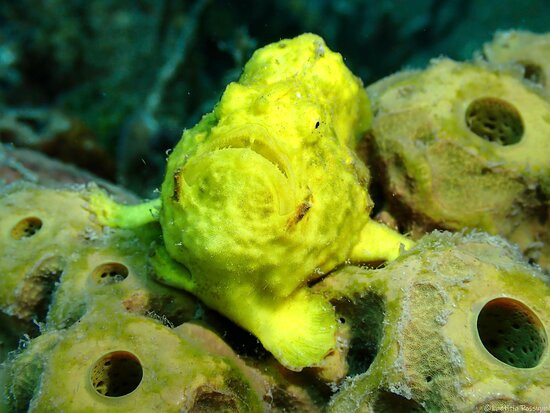 Letifish-Aventure-Pointe-Noire必去景点