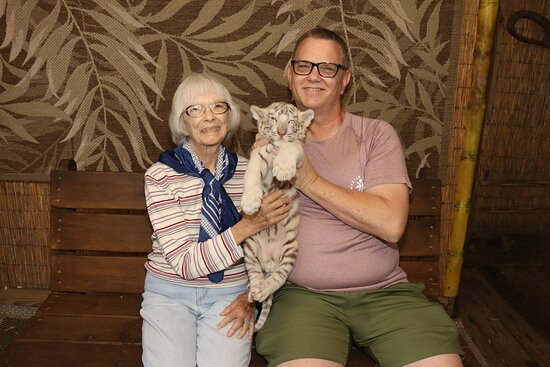 T.I.G.E.R.S. Preservation Station-美特尔海滩必去景点