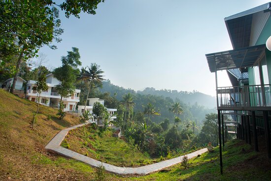 The Arbour Resort Munnar-酒店景观