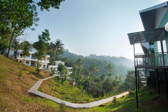 The Arbour Resort Munnar主图