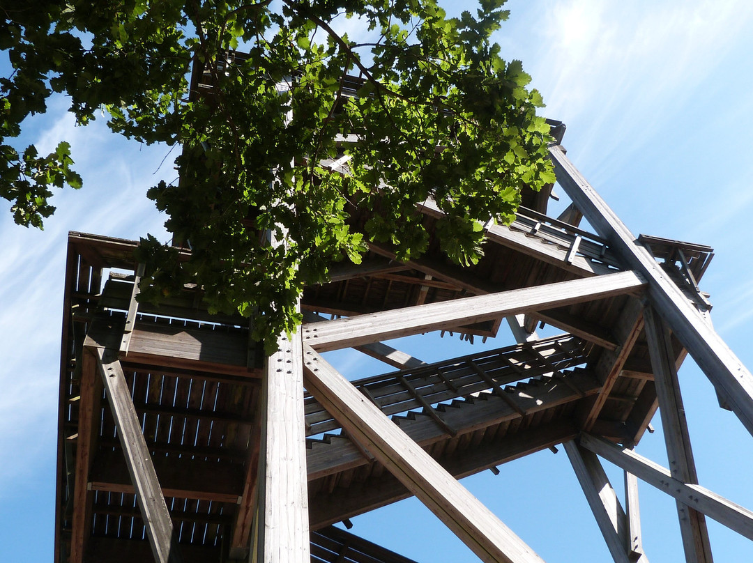 Belvédère Des Caillettes-Nibelle必去景点