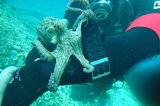 Oltremare Diving Center-纳尔德奥必去景点