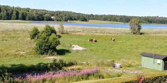 Stjarnholmsslott主图