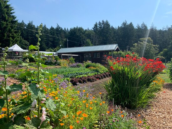 Doe Bay Resort & Retreat主图