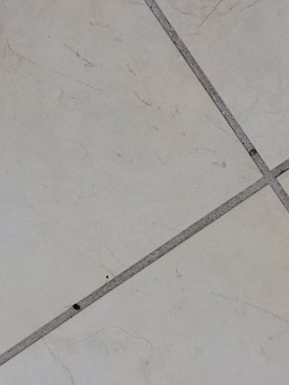 Comfort Inn & Suites High Point - Archdale主图