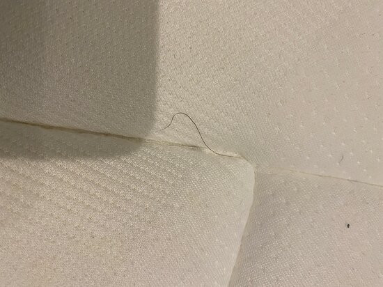 Hotel Malaga Nostrum主图