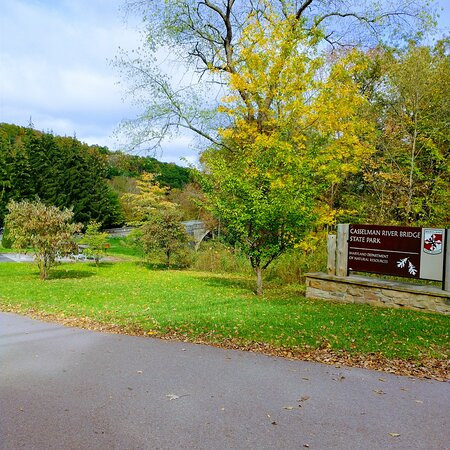 Casselman River Bridge State Park景点图片
