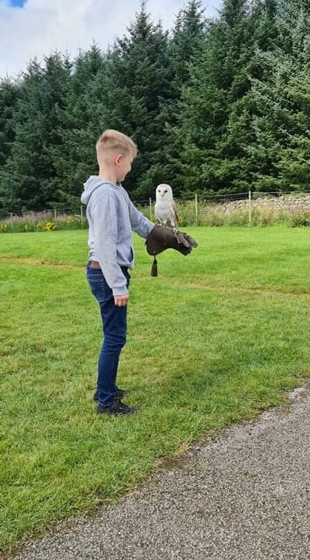 North East Falconry Centre-Huntly必去景点