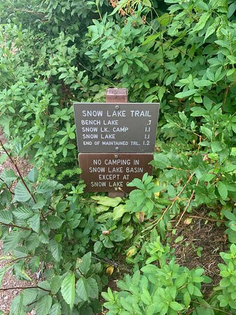 Snow Lake Trail景点图片