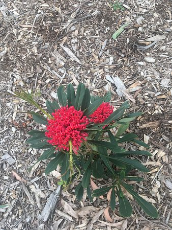 Seville Hill Winery-Seville必去景点