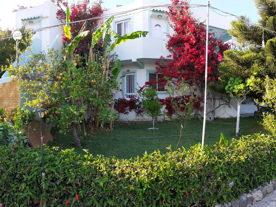 Zikas Apartments